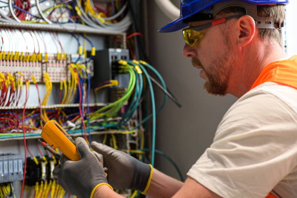 Best Local Electrician Companies  in Dillingham, AK